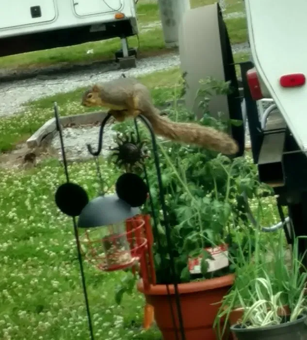 B&B RV Park Picture 8