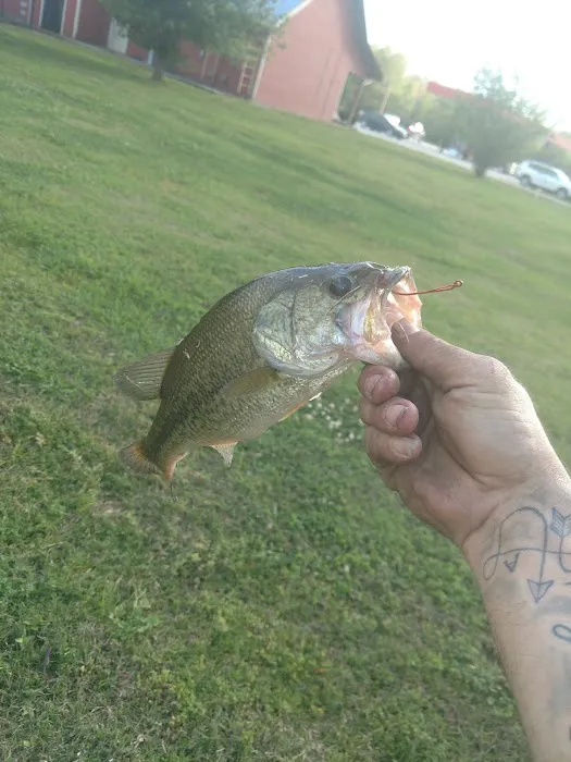 CANE ROW RV PARK Picture 6