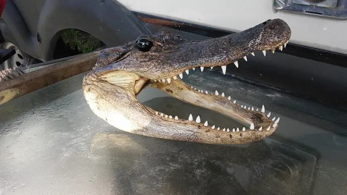 CANE ROW RV PARK Picture 10