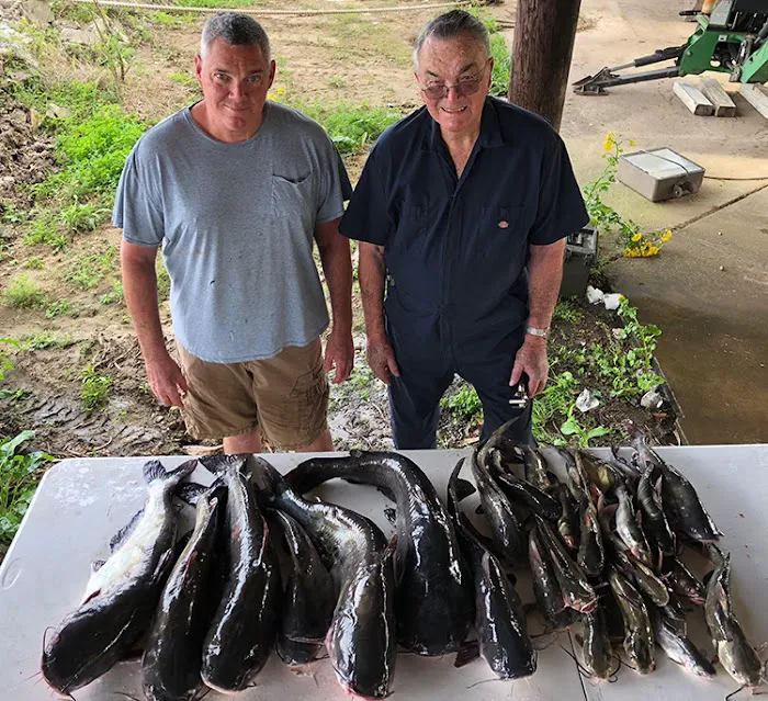 Cajun Country RV Park Picture 3