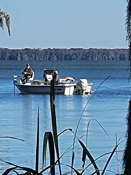 Morgan City RV Park Picture 7