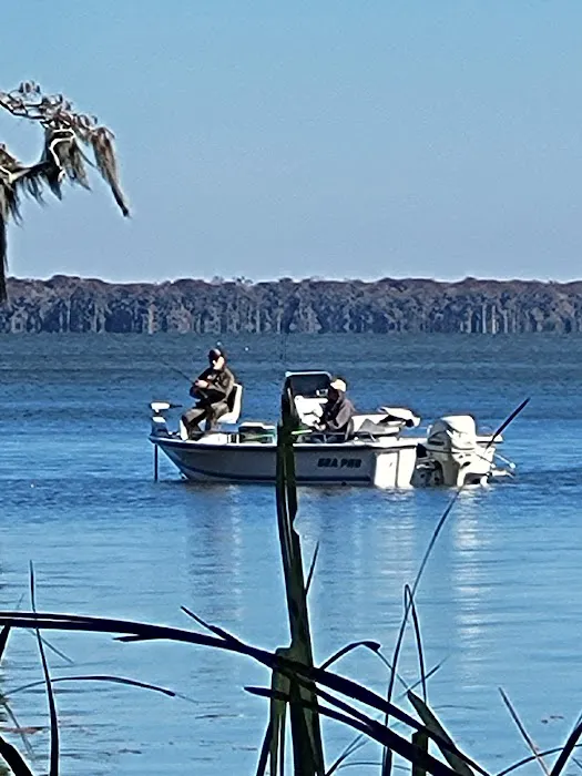 Morgan City RV Park Picture 10