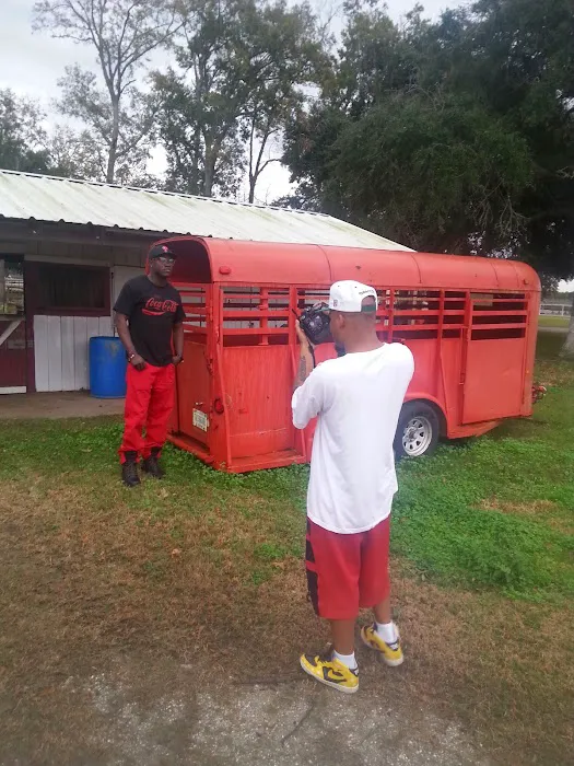 Morgan City RV Park Picture 9