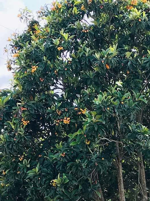 Guiseppi's Park, LLC Picture 2