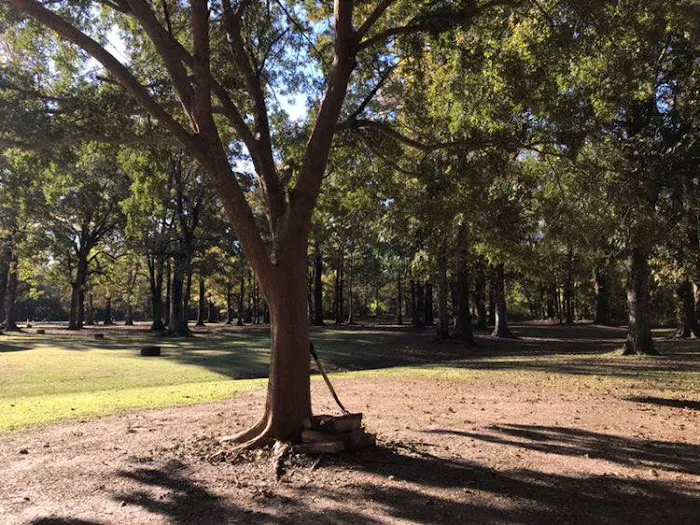 Cajun Heritage R/V Park Picture 4