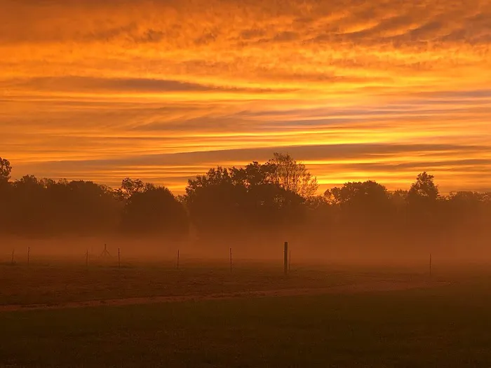 JC's RV Park Picture 5