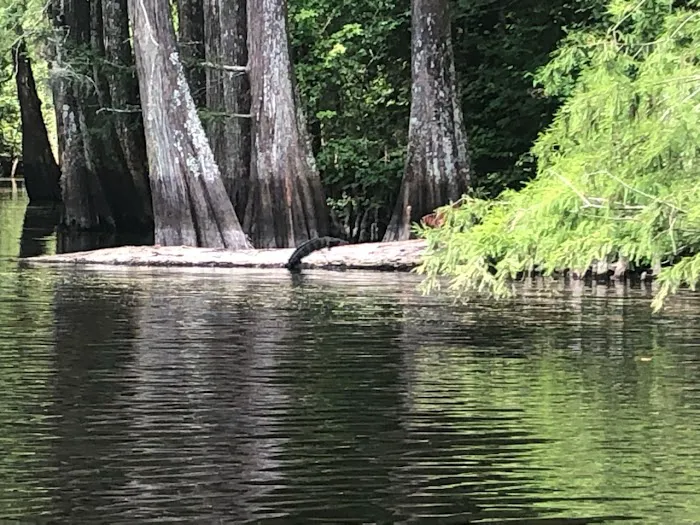 JC's RV Park Picture 7