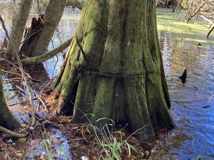 JC's RV Park Picture 8