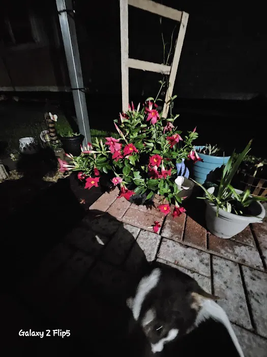 Tinas' Manufactured Home Picture 1