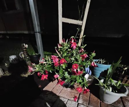 Tinas' Manufactured Home