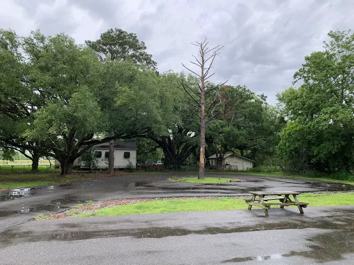Evangeline Oaks RV Park - Opelousas Picture 7