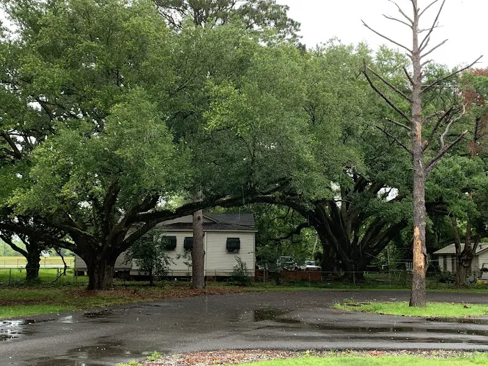 Evangeline Oaks RV Park - Opelousas Picture 10