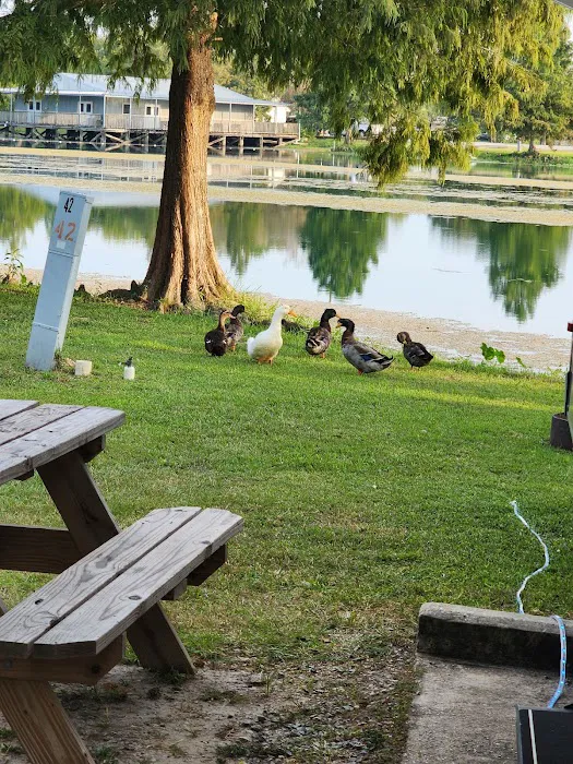 Poche's Rv Park & Fish-N-Camp Picture 9