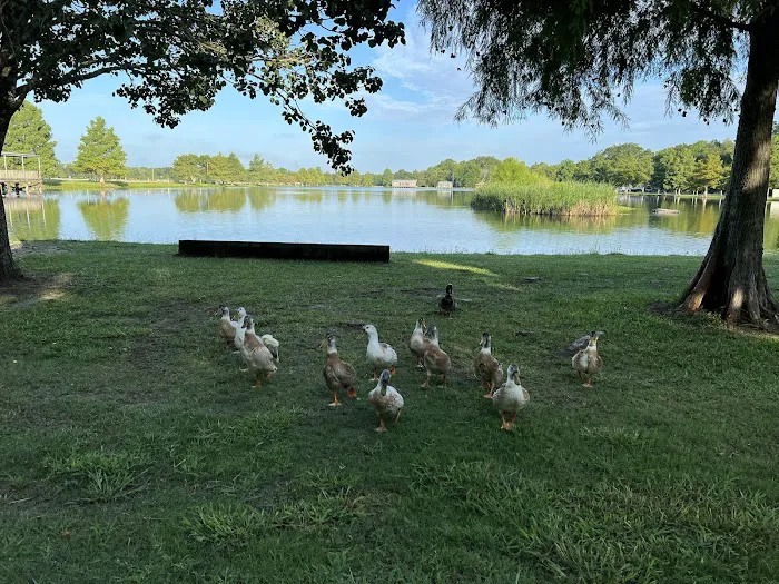 Poche's Rv Park & Fish-N-Camp Picture 8