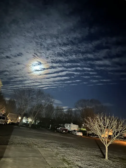 Evangeline Downs RV Park Picture 2