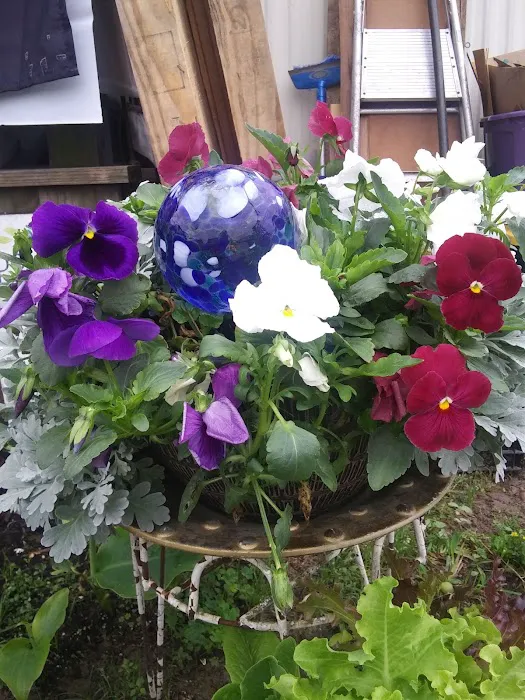 Lisa's RV Park Picture 6