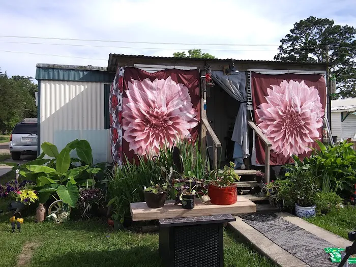 Lisa's RV Park Picture 8