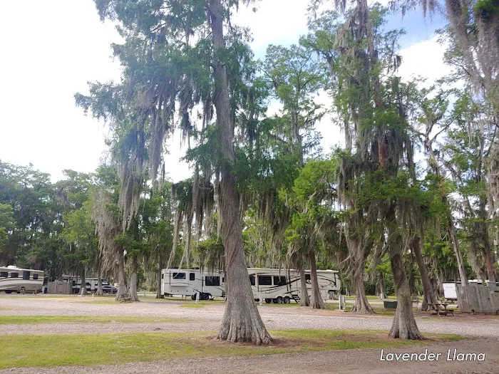 Cypress Lake Resort Picture 6