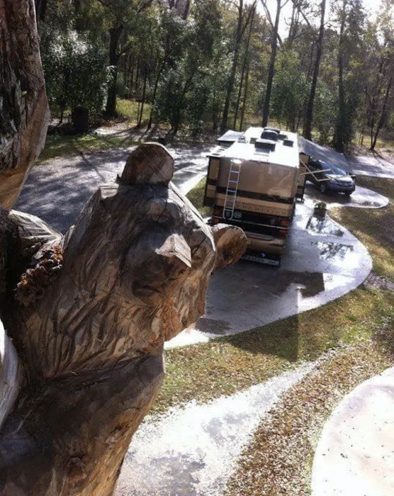 Poche Plantation RV Park Picture 3