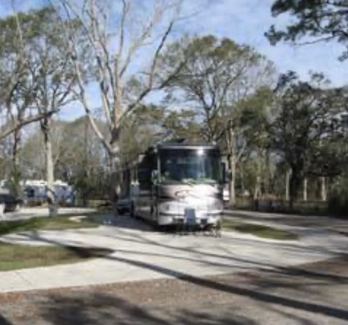 Poche Plantation RV Park Picture 10