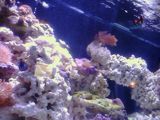 Grand Bayou Mobile Home Park Picture 3