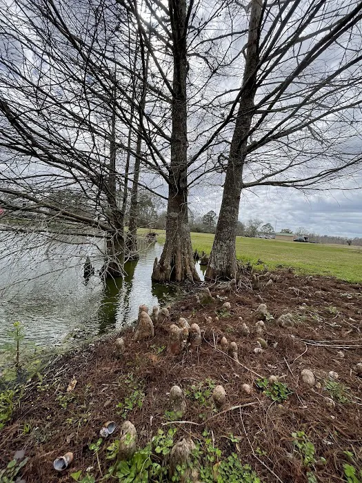 Bayou Black RV Park Picture 1