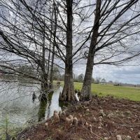 Bayou Black RV Park ico