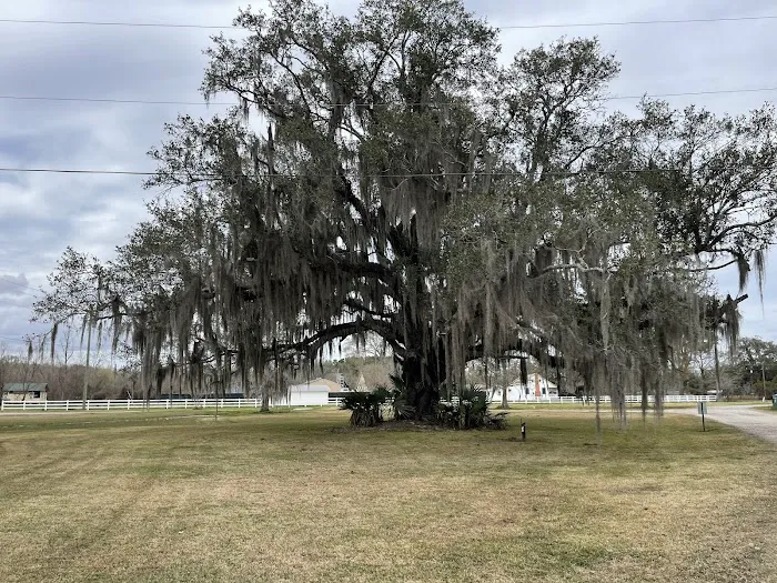 Bayou Black RV Park Picture 2