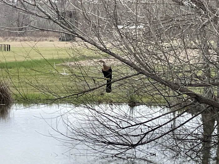 Bayou Black RV Park Picture 5