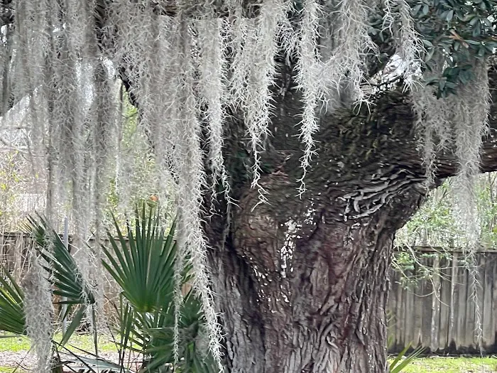 Bayou Black RV Park Picture 6