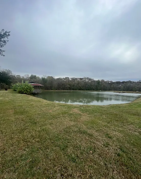 BON TEMPS RV PARK INC Picture 6