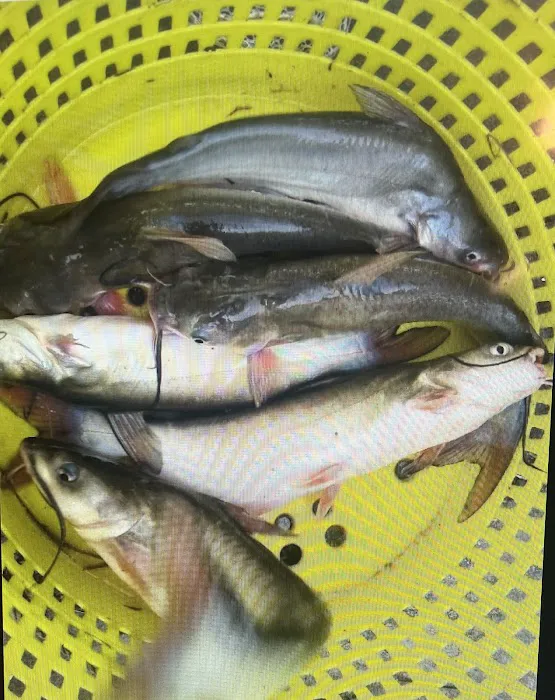 BON TEMPS RV PARK INC Picture 8