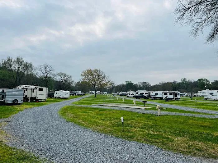 Bayou Wilderness RV Campground Picture 5