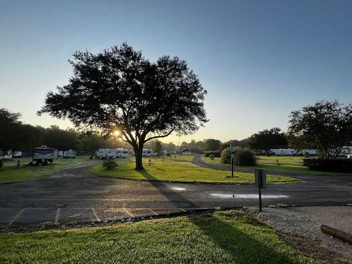 Bayou Wilderness RV Campground Picture 8