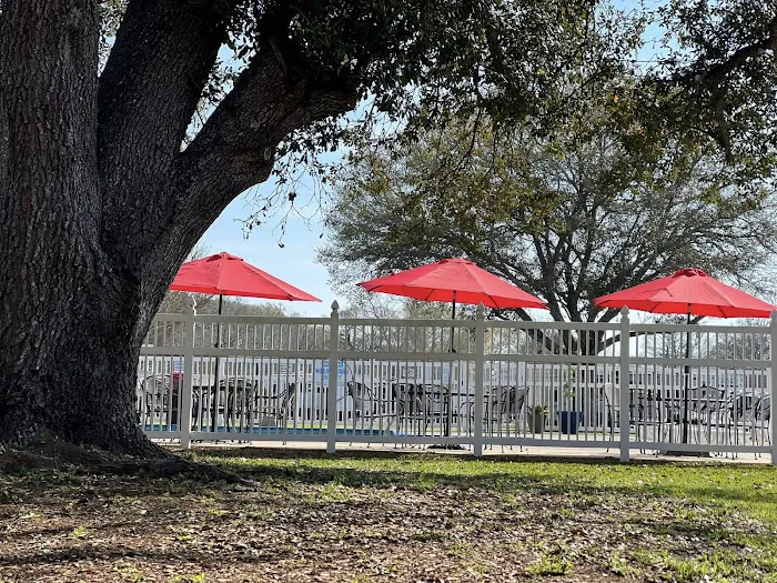 Bayou Wilderness RV Campground Picture 10