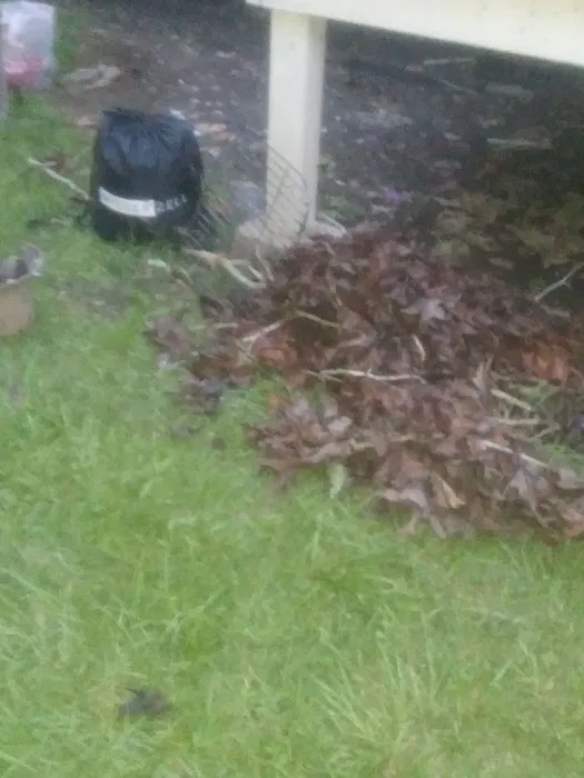 My Place Mobile Home Park Picture 8