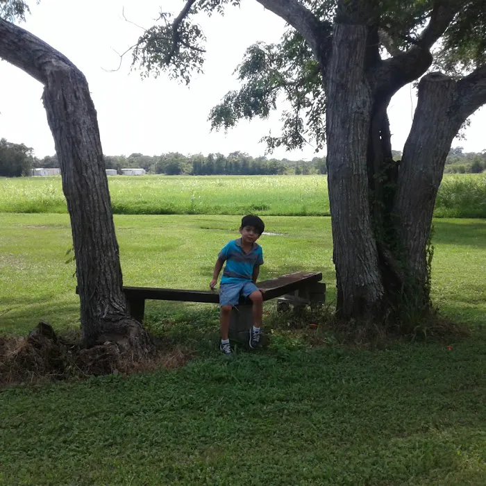 Shady Oaks Estates Mobile Home & RV Park Picture 6