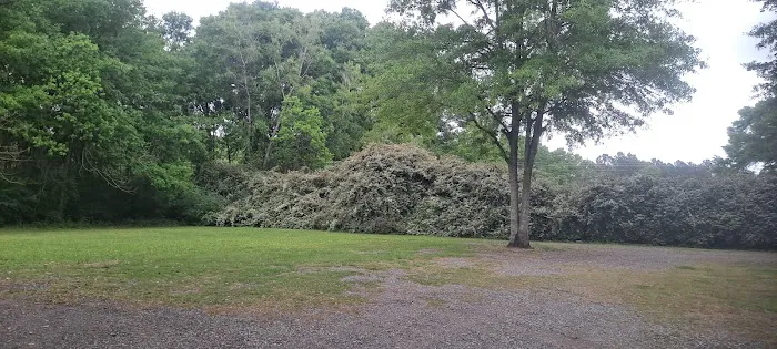 Alice's RV Park Picture 8