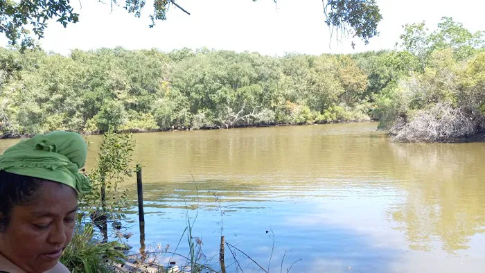 Mary's R.V. Park Picture 6