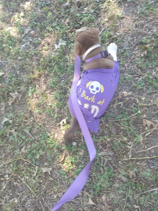 Cajun Pride RV Picture 9