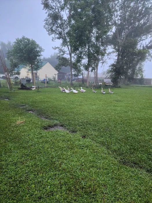 Bella Terre Picture 1