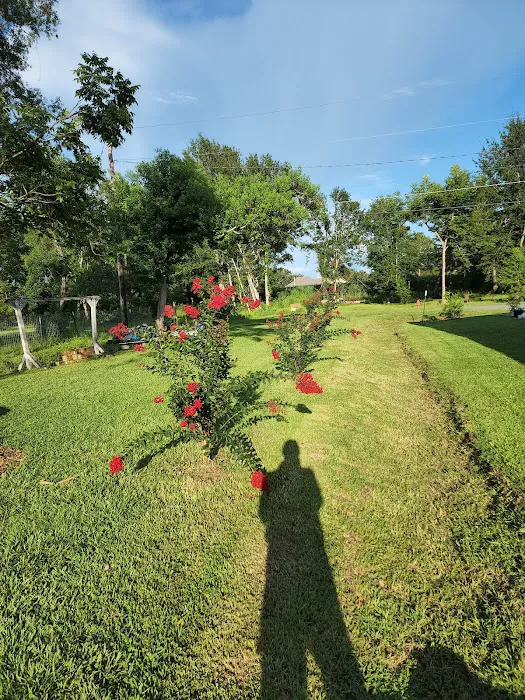 Bella Terre Picture 2