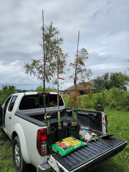 Bella Terre Picture 5