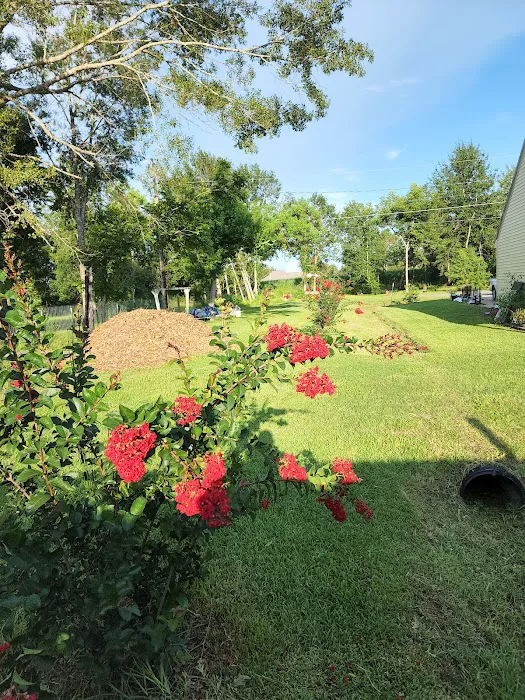 Bella Terre Picture 6