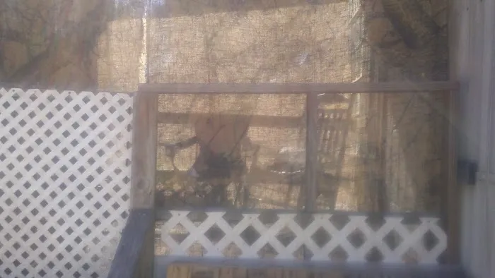 Remwood Park Picture 4