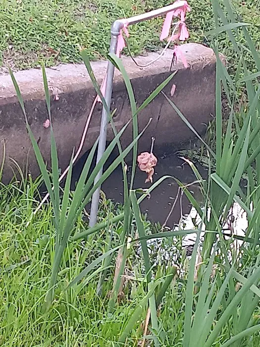 South Houma RV Park Picture 1