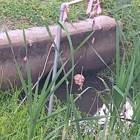 South Houma RV Park ico