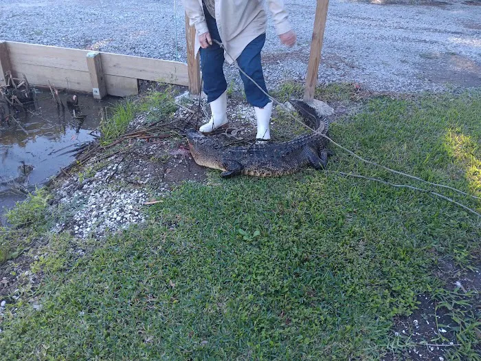 South Houma RV Park Picture 3