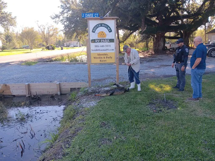South Houma RV Park Picture 2