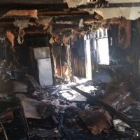 Twisted Oaks Trailer Park LLC ico